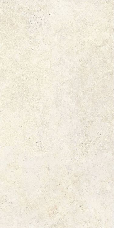 OL Limestone Avorio Matte 24 x 48